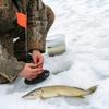 FTK Tip Up Winter Ice Fishing Rod Convenient Braking System Ice Fishing Supply Fishing Accessories for Outdoor