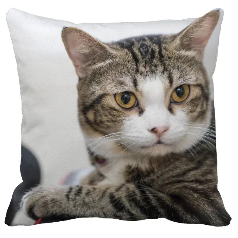 Pillowcase Cute Pet Cat Sleeping Bubble Black Kids Gift Cushion Cover Sofa Living Room Home Decor Custom
