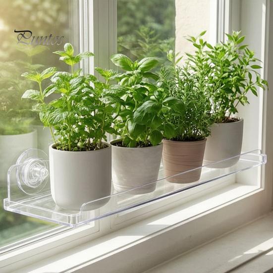 No Drill Window Shelf Plant with Suction Cup And Protective Edge, Clear Acrylic Floating Sturdy Vertical Garden Display Shelf, Wall Mounted