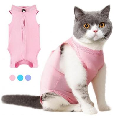 Katten – Kleding voor katten