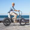 Electric Cargo Bicycle Fafrees 20" F20 Mate 250W Motor Foldable E-Bike Top Speed 25km/h LCD Display 48V 20Ah Dual Hydraulic Brake Max Load 180Kg