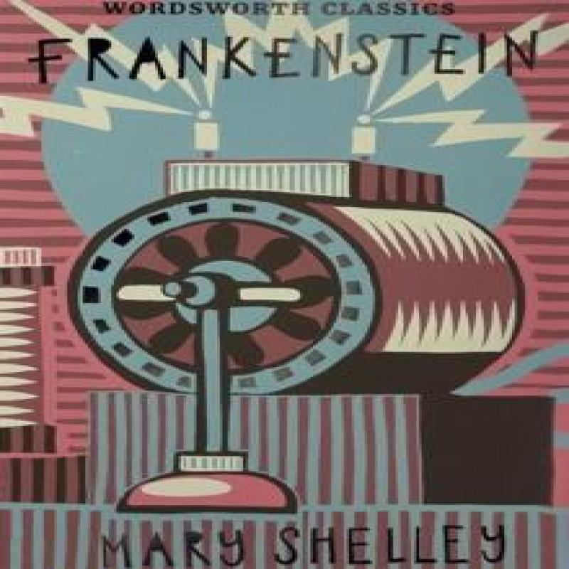 Frankenstein by Mary Shelley Paperback Book 9781853260230