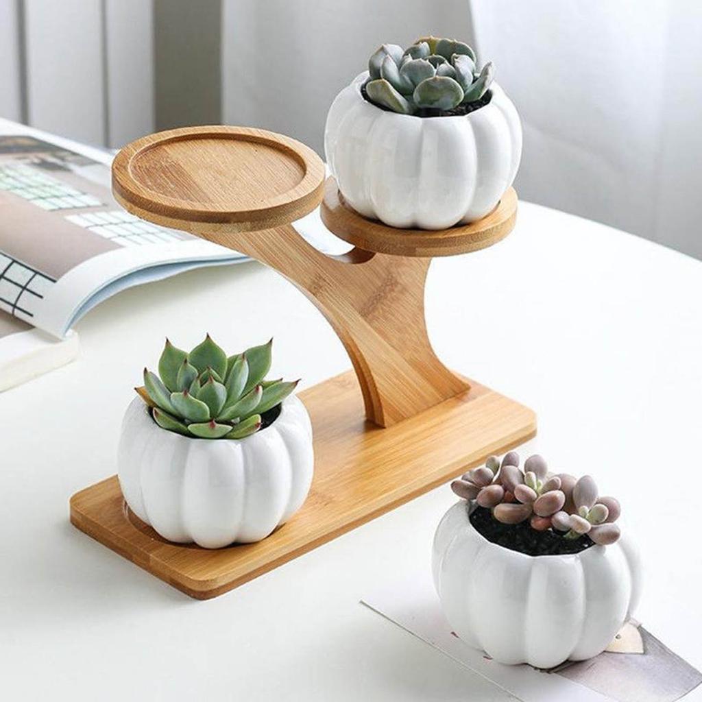 Bamboo Plants Pot Holder for Bonsai Succulent Plants 3 Layers Flowerpot Bracket
