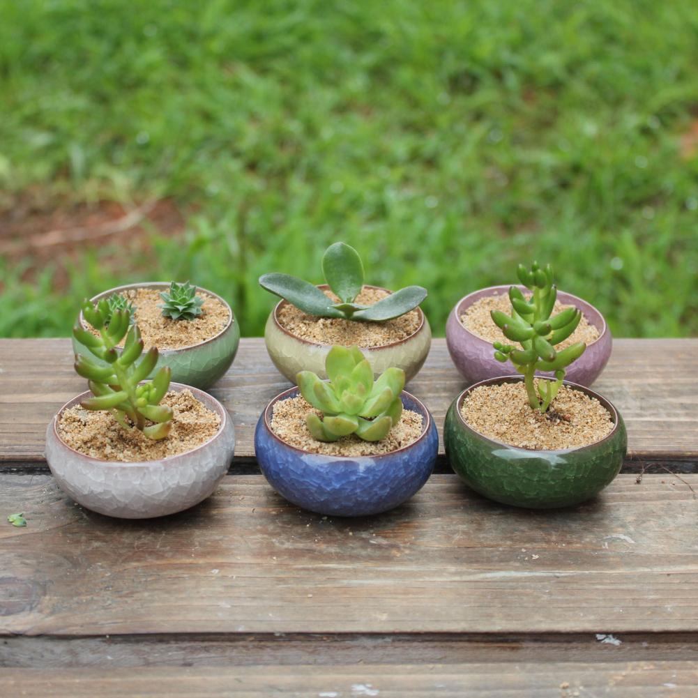 2025 Flower Pot Delicate Practical Ceramic Compact Mini Simple Succulent Plant Planter for Home FlowerPot