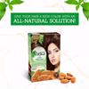 Henna Hair Color - Natural Brown Pack of 2 - Vatika Naturals - Brun Naturel 4 Color