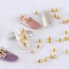 Nail Art Stahlkugel Kaviar 6 Fächer Gold- und Silberperlen Nail Art Dekoration Nail Art Zubehör