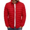 2025 European and American Autumn and Winter New Solid Color Cotton-padded Jacket Simple Atmosphere Men's Cotton Clothes