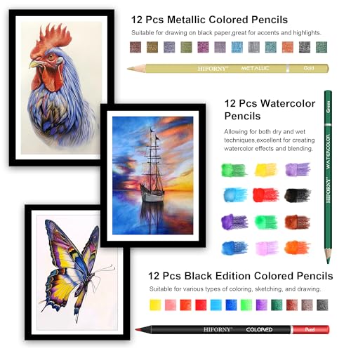 HIFORNY Professional Drawing & Sketching Set: Includes Graphite, Charcoal, Color, Watercolor, and Metallic Pencils, Blending Tool, Sketchbook, Colorin