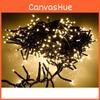 Waterproof Led String Light With 480 Led Bulbs For Garden And Square Decor