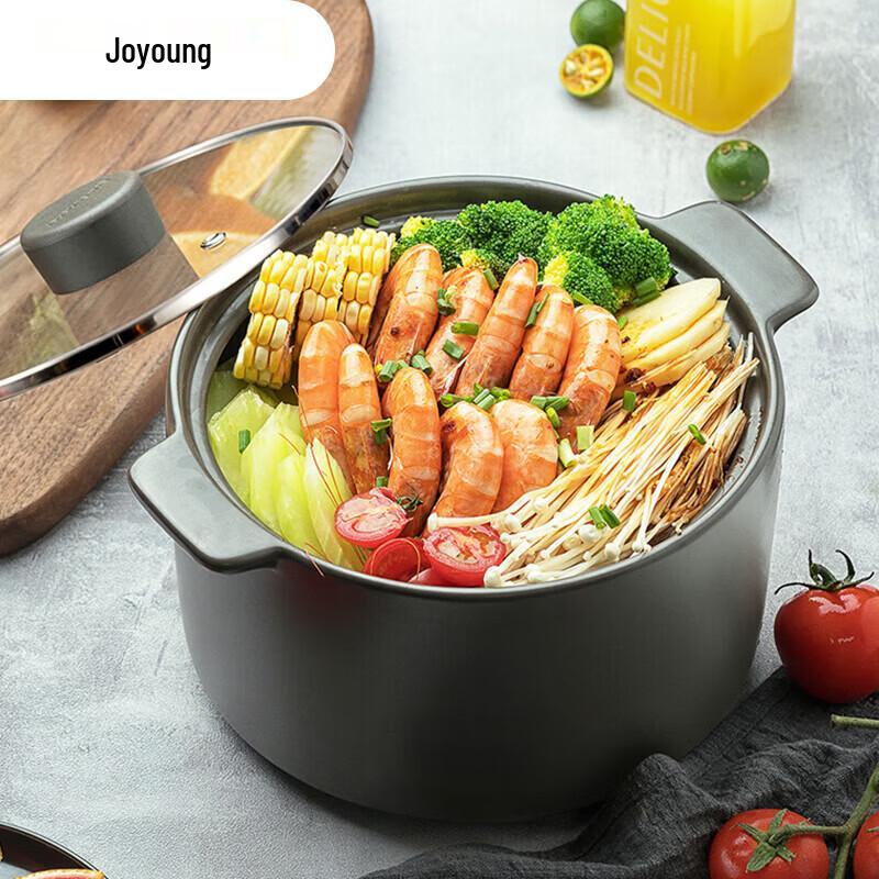 Joyoung 5L Ceramic Casserole Pot