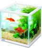 GEX Goldfish Genki Cube Set, Aquarium Size: Approx. W20 x D20 x H20cm, Water Capacity: Approx. 6L, White Frame Width: 20cm