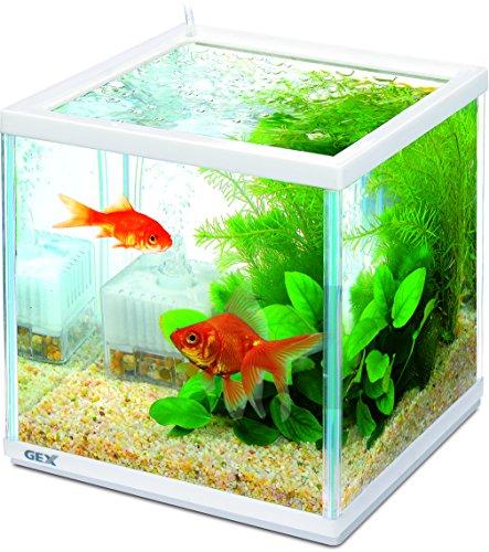 GEX Goldfish Genki Cube Set, Aquarium Size: Approx. W20 x D20 x H20cm, Water Capacity: Approx. 6L, White Frame Width: 20cm