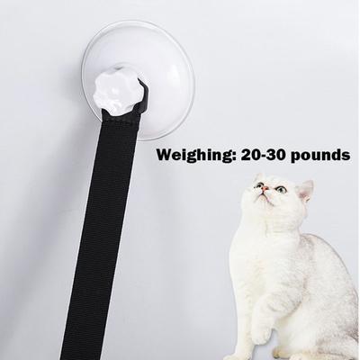 Maison pour chat Type suspendu Ventouse Maison pour chat Salon Fournitures d'entraînement pour chat Articles pour la maison et le confort Accessoires