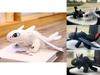 How To Train Your Dragon Toothless Night Fury Soft Plush Toy 20cm 25cm 35cm 45cm 65cm Educational Gift For Kids