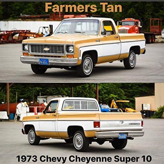 M2 MACHINES CHEVOLET CHEYENNE SUPER10 M2 MACHINES Scale Walmart Exclusive 1975 Chevrolet Cheyenne Super 10 164scale WAL-MART EXCLUSIVE-1973 "FAMERS
