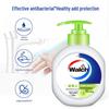 Walch Foam Antibacterial Hand Soap - Healthy Care & Lime (2x250ml)