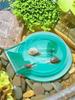 Snail Catcher Snail Trap Transparent Snail Catcher Lightweight Planaria Removal Supplies Small Cleaning Accessories for Aquarium