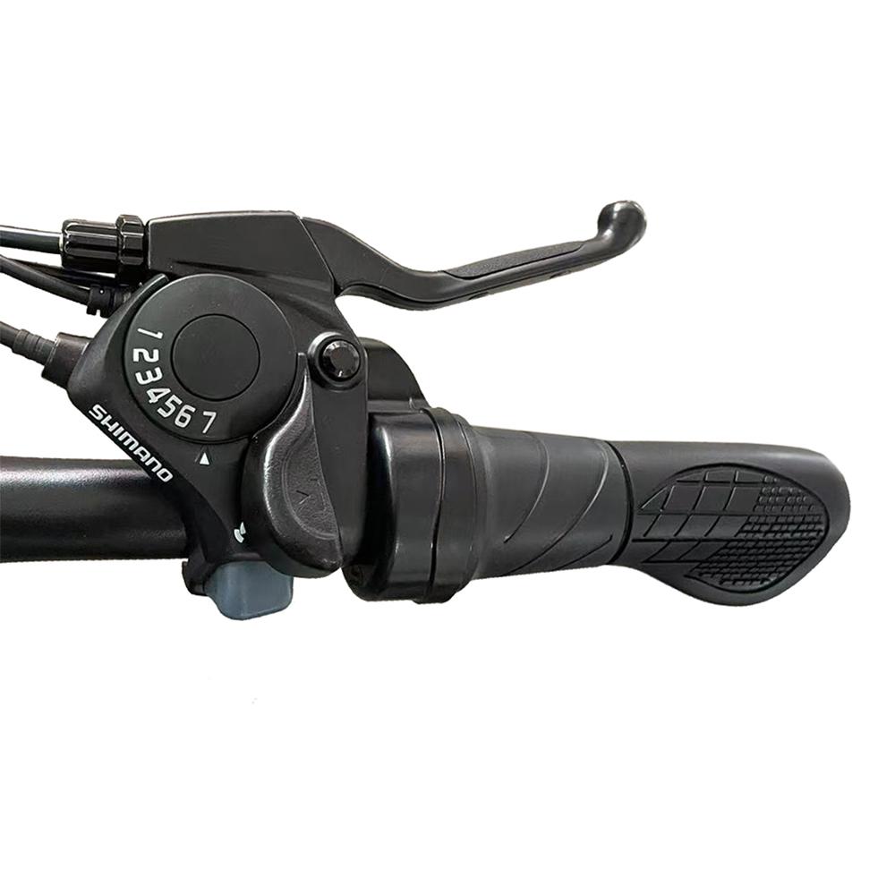 Bicicletta Elettrica AVAKA R1, Motore 250W, Batteria 36V 7.8Ah, Pneumatici 700C, Velocità Massima 32km/h, Autonomia Massima 45km