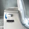 Toilet Tank Side Flush Lever