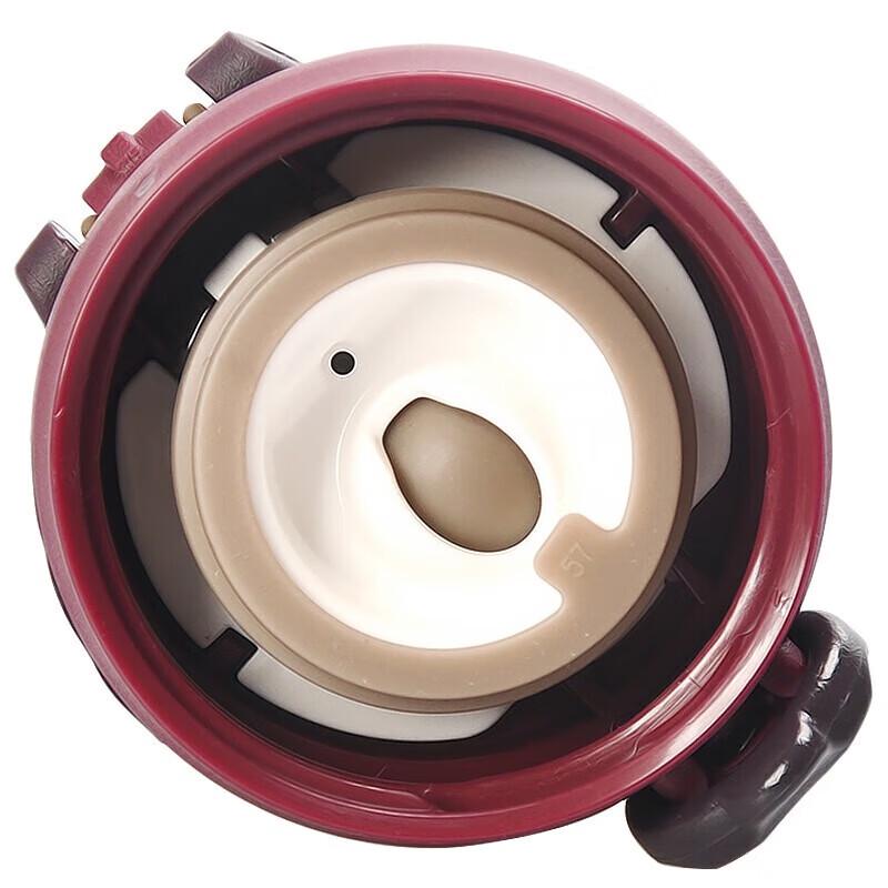 Thermos JNL-500 500ml Vacuum Insulated Bottle