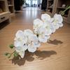 1PC of Retro White Orchid Artificial Butterfly Orchid, Long Stem, Ideal for Home and Kitchen Decoration, Desktop Display, Butterfly Orchid Decoration.