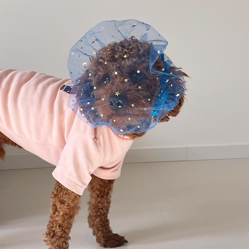 1PC Breathable Pet Mesh Hood Anti-Biting Licking Snood for Dogs Cats Insect-Proof Net Cover Outdoor Walking Veil Protective Soft