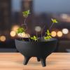 Flower Pot Ceramic Tripod Ding Tray Table Ornament for Courtyard Lightweight Black 17x10cm