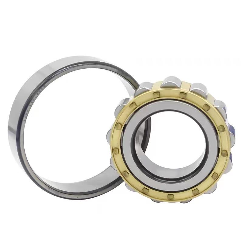 Detang Imported RN309M Reducer Eccentric Bearing