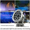 Low Voltage Stainless Steel LED Underwater Light for Pools, Fountains, and Fish Ponds