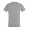 Unisex Adult Regular T-Shirt