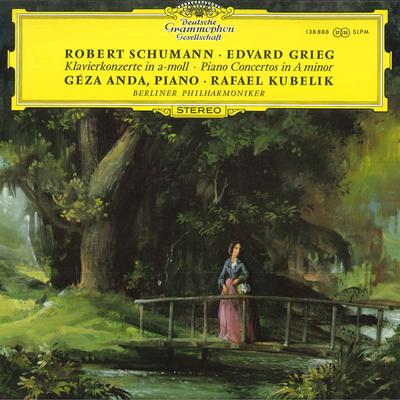 LP Record ROBERT SCHUMANN, EDVARD GRIEG, GEZA - Klavierkonzerte In A-moll / Piano C 138888 DEUTSCHE GRAMMO Germany Classical Used