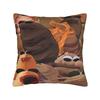 Pillow Cover Funny Robert Help Marcus The Worm   Cute Funny Pillow Case For Sofa Home Decor Pillowcases