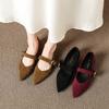 Designer Luxury Thick Heel Women Mary Jane Shoes Fashion Shallow Pointed Shoes 2026 Spring Female Internal Increase Dress Pumps