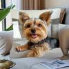 1pc Pillowcase, Modern Cute Smiling Yorkshire Terrier Design, Soft and Comfortable Polyester Short Plush Fabric, Single-Sided Print, Pillow Insert Not