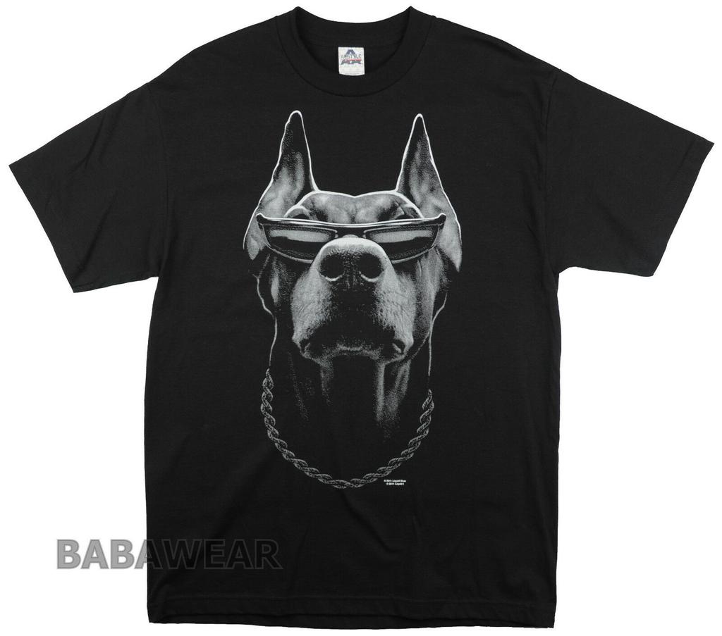 doberman wearing clothes