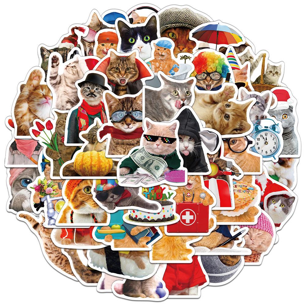 

Creative Cat Fun Stickers: 50-Pack for Journals, DIY Phone Cases, Notebooks