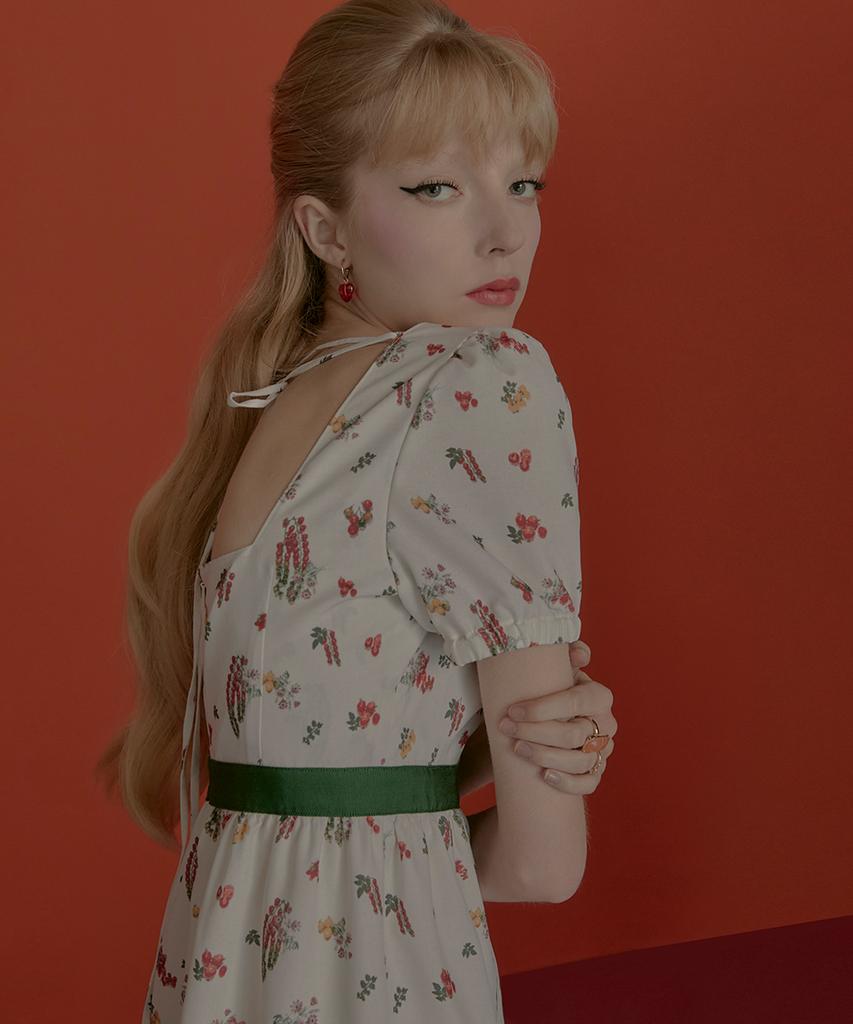Aiseugadeuneiogongpal Veggie Print Dress