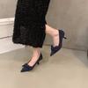 Niche French black high heels women's shoes 2025 new spring and autumn temperament suede bow pointed single shoes