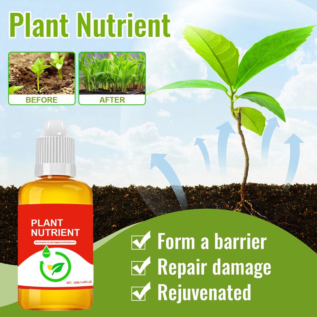 Plant Rooting Promoter, Plant Growth Promoter Supplement, Rooting Hormone And Liquid Fertilizer For Seedlings And Cuttings (1 Bottle, 50ml)