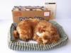 Ninian and Kino Perfect Pet Pomeranian Stuffed Animal Dog Realistic Goods Animal Healing Moving Present Gift Celebration Cute Dog Stuffed Animal