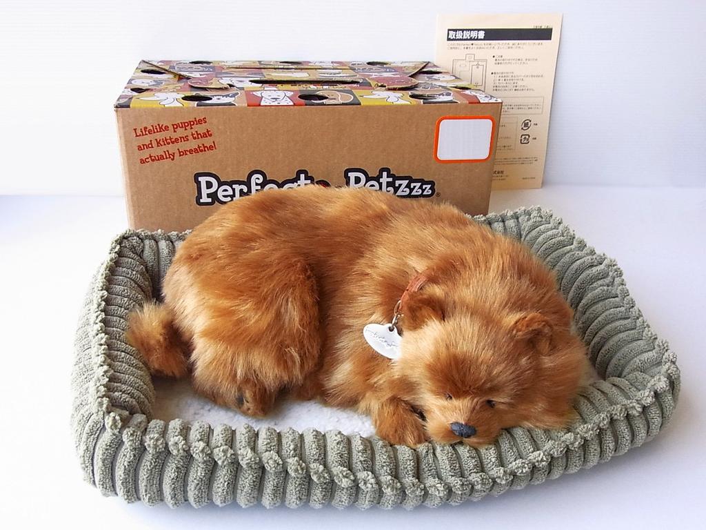 Ninian and Kino Perfect Pet Pomeranian Stuffed Animal Dog Realistic Goods Animal Healing Moving Present Gift Celebration Cute Dog Stuffed Animal