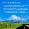Mizutama Farm Green Tea Grown Without Pesticides or Chemical Fertilizers, 200g (Value Pack, Large Capacity Japanese Tea, Shizuoka Tea, Nofu Leaf,