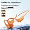 Sanag B60S ProMax Bone Conduction Swimming Earbuds