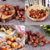 5/10 PCS Artificial Acorns with Caps Realistic Fake Acorns DIY Craft Fall Autumn Decor Table Centerpiece Woodland Props