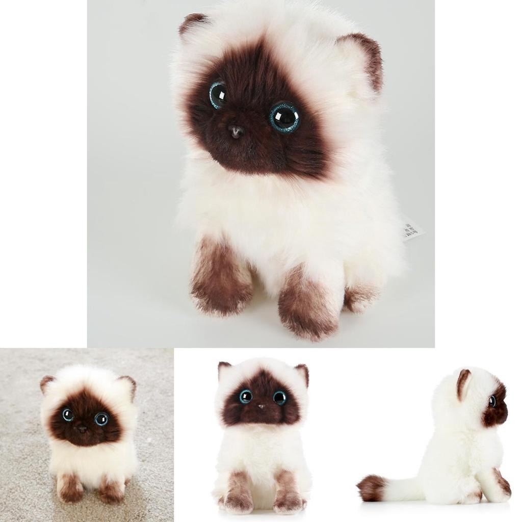 20cm/26cm Siamese Cat Plush Toy Cute Soft Gift Blue Sequins Eyes Dolls