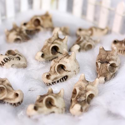 20 ks Venkovní Miniaturní Figurky Lebek Dinosauřích, Pryskyřičné Kostry Draka Zahradní Dekorace na Trávník, Vhodné pro Bonsai Expozici