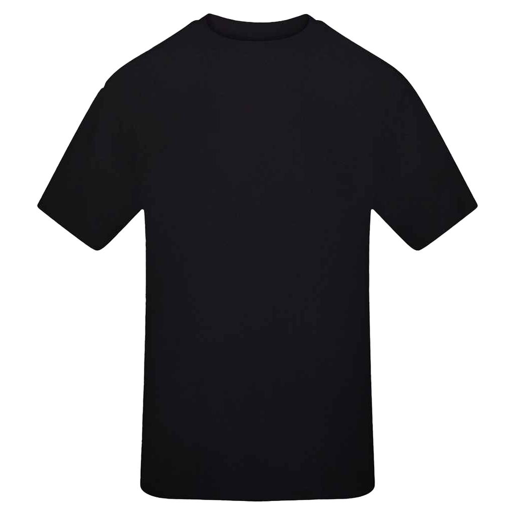 Awdis Mens Signature Plain Heavyweight T-Shirt