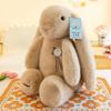 Cartoon Konijn Pluche Pop Kawaii Zachte Hangoor Pluche Beesten Gevulde Speelgoed Echte Konijn Pop Warme Slaapkamer Decoratie Verjaardagscadeaus Voor Meisjes