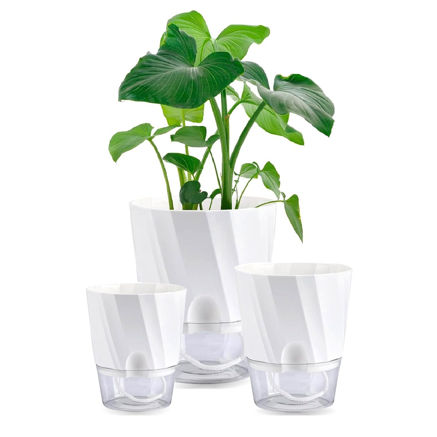 

STATIN4 Цветочный горшок, декоративный горшок для растений, пластик, автоматический полив, крышка для автоматической подачи воды белый