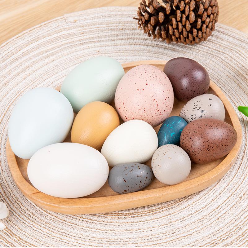 Wooden Educational Pretend Play Set: Colorful Bird, Chicken, and Duck Eggs for Kindergarten Science Learning